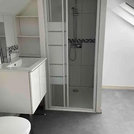 Superbe Duplex Centre
